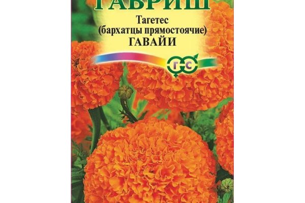 Кракен ссылка gigageek ru