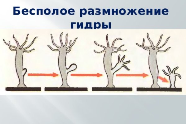 Кракен даркнет официальный