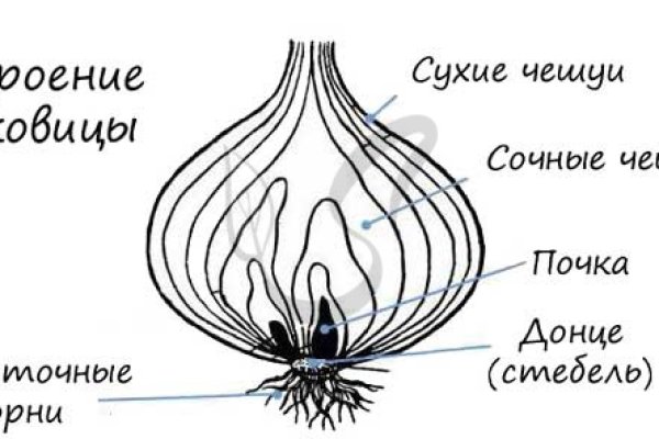 Кракен сайт 1kraken me