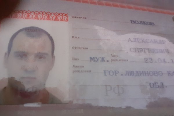 Ссылка кракен зеркало тор