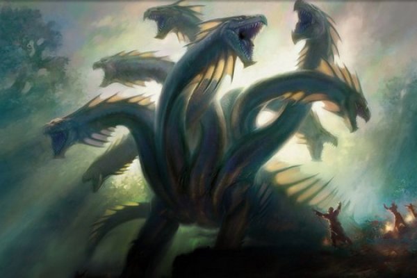 Kraken 20at