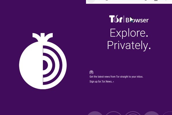 Что такое kraken в россии