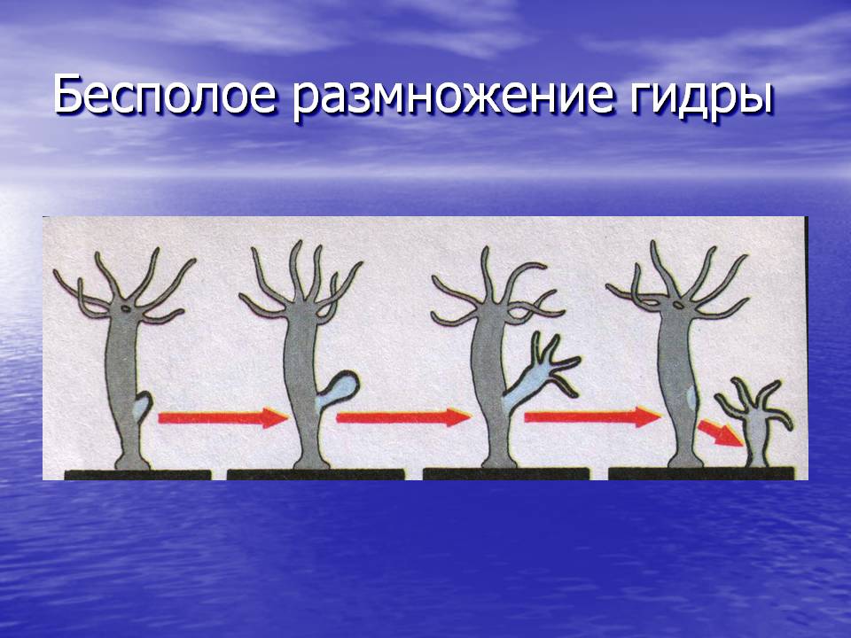 Кракен маркетплейс работает